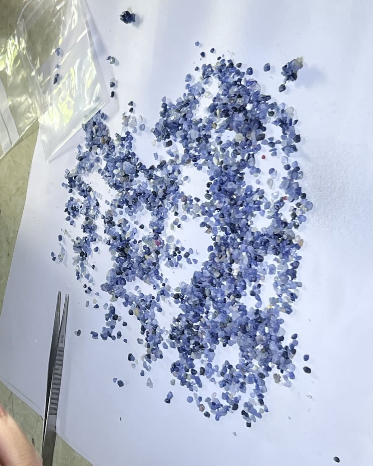 A parcel of blue sapphire rough spread across white sorting paper, tweezers laid alongside